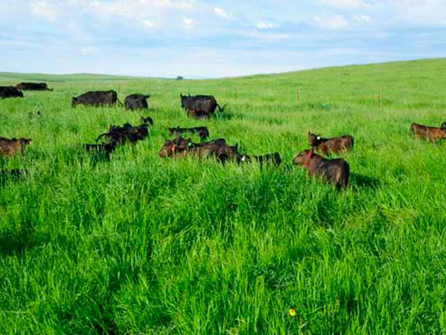 progressive farmer pict