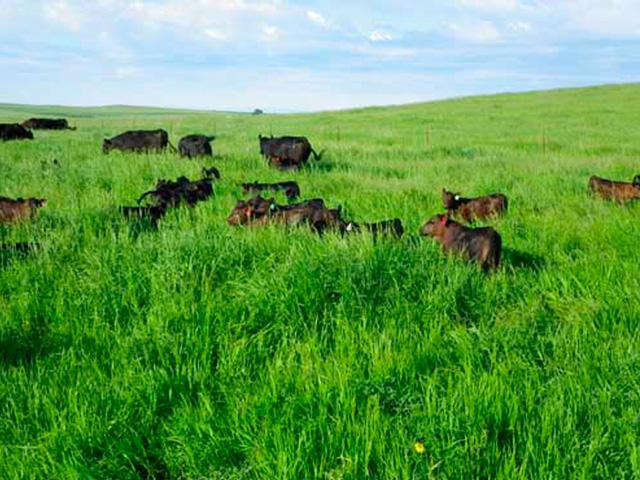 progressive farmer pict