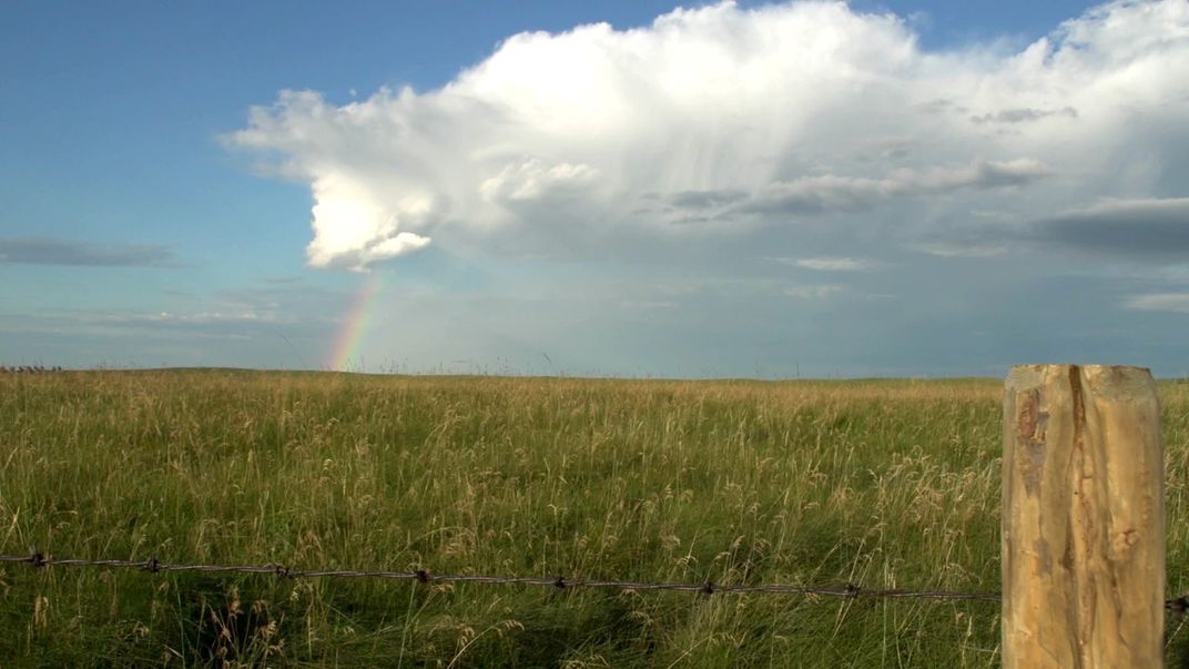 smithsonian Alberta Canada 2